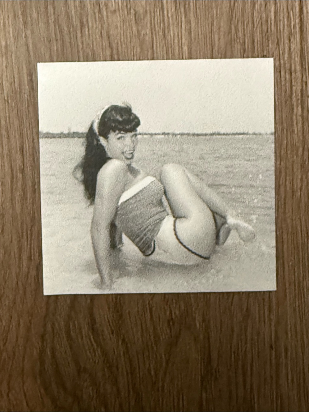 Bettie Page Pin-Up Magnet
